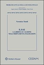 Il bail. La libertà su cauzione negli ordinamenti anglosassoni