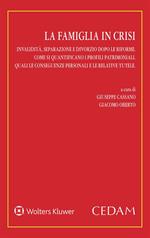 La famiglia in crisi. Invalidità, separazione e divorzio dopo le riforme
