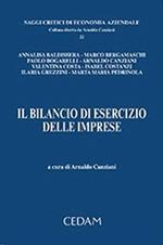 Il bilancio d'esercizio delle imprese