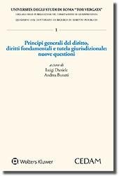 Principi generali del diritto. Diritti fondamentali e tutela giurisdizionale: nuove questioni - copertina