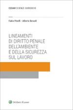 Lineamenti di diritto penale dell'ambiente e della sicurezza sul lavoro