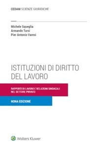 Istituzioni di diritto del lavoro. Rapporti di lavoro e relazioni sindacali nel settore privato - Armando Tursi,Pier Antonio Varesi,Michele Squeglia - copertina