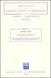 Il contratto di lavoro. Vol. 1: Fonti e principi generali. Autonomia individuale e collettiva. Disciplina del mercato. Tipi legali. Decentramento produttivo.... - Pietro Ichino - copertina