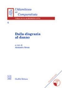 Dalla disgrazia al danno. Con CD-ROM - copertina