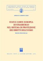 Stati e Corte europea di Strasburgo nel sistema di protezione dei diritti dell'uomo. Profili processuali