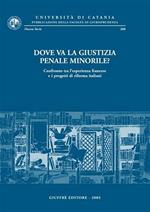 Dove va la giustizia penale minorile? Confronto tra l'esperienza francese e i progetti di riforma italiani