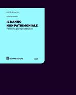 Il danno non patrimoniale. Percorsi giurisprudenziali