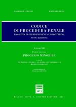 Codice di procedura penale. Rassegna di giurisprudenza e di dottrina. Vol. 12: Parte speciale. Processo minorile.