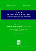 Codice di procedura penale. Rassegna di giurisprudenza e di dottrina. Vol. 13: Parte speciale. Mandato di arresto europeo.