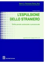 L' espulsione dello straniero. Diritto penale sostanziale e processuale