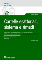 Castelle esattoriali, sistema e rimedi