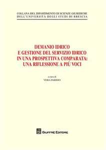 Demanio idrico e gestione del servizio idrico in una prospettiva comparata. Una riflessione a più voci