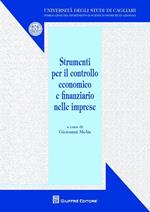 Strumenti per il controllo economico e finanziario nelle imprese