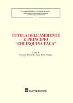 Tutela dell'ambiente e principio «chi inquina paga»