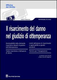 Il risarcimento del danno nel giudizio di ottemperanza - M. Assunta Gagliardi,Amelia L. Crucitti - copertina