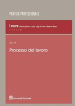 Processo del lavoro