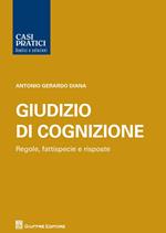 Casi pratici del giudizio di cognizione