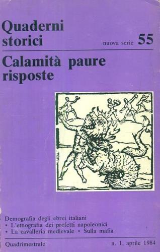 Calamità, paure, risposte - copertina