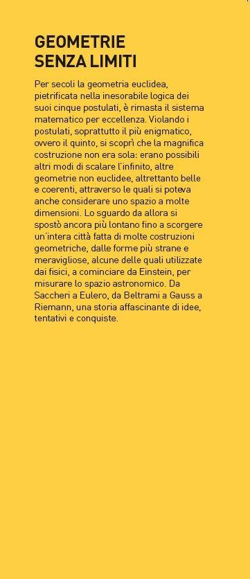 Geometrie senza limiti. I mondi non euclidei - Laura Catastini,Franco Ghione - 4