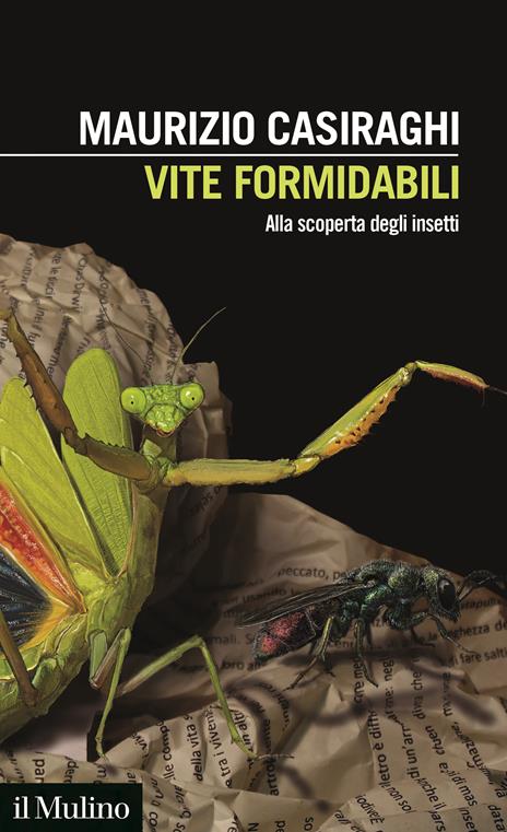 Vite formidabili. Alla scoperta degli insetti - Maurizio Casiraghi - copertina