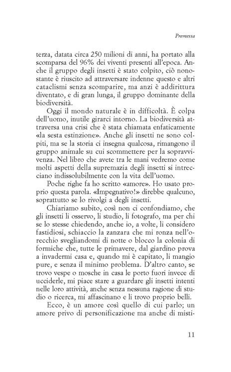 Vite formidabili. Alla scoperta degli insetti - Maurizio Casiraghi - 4