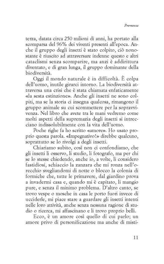 Vite formidabili. Alla scoperta degli insetti - Maurizio Casiraghi - 4