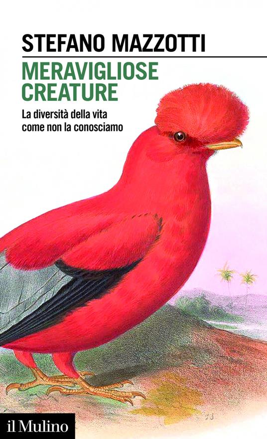 Meravigliose creature. La diversità della vita come non la conosciamo - Stefano Mazzotti - ebook