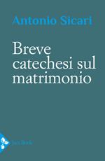 Breve catechesi sul matrimonio