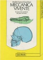 Meccanica vivente. Il cranio dei vertebrati dai pesci all'uomo