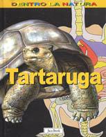 La tartaruga - Gillian Houghton - 2