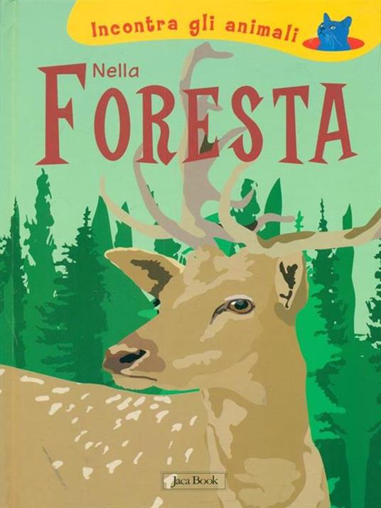 Nella foresta. Incontra gli animali. Ediz. illustrata - Sebastiano Ranchetti,Laura Ottina - 6