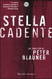 Stella cadente - Peter Blauner - copertina