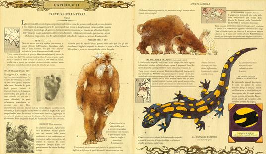 Mostrologia. Enciclopedia delle creature fantastiche. Ediz. illustrata - Ernest  Drake - Libro - Rizzoli - I libri illustrati