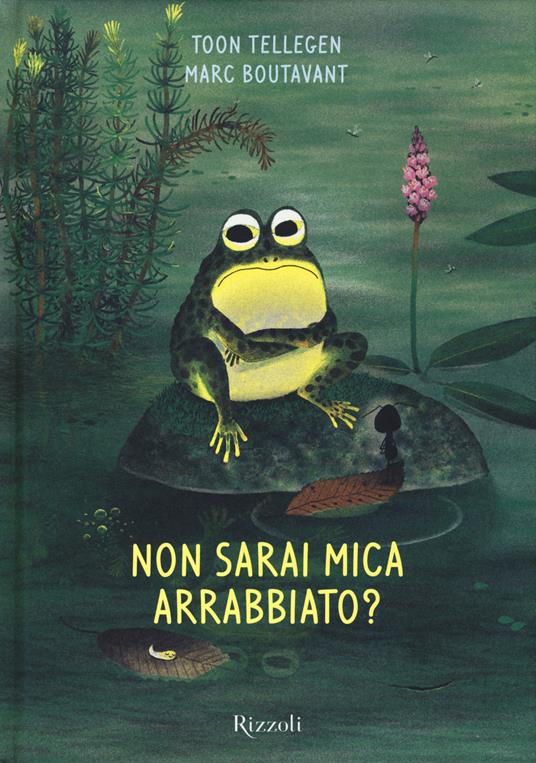 Non sarai mica arrabbiato? Ediz. illustrata - Toon Tellegen,Marc Boutavant - copertina