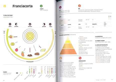 Vinology. Guida visuale al mondo del vino - Alessandro Torcoli,Antonella Giardina - 2