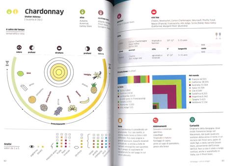 Vinology. Guida visuale al mondo del vino - Alessandro Torcoli,Antonella Giardina - 3