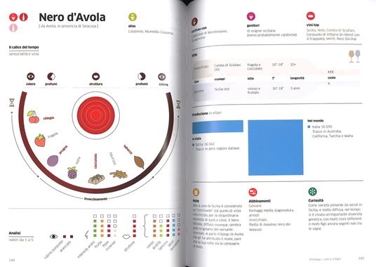 Vinology. Guida visuale al mondo del vino - Alessandro Torcoli,Antonella Giardina - 4