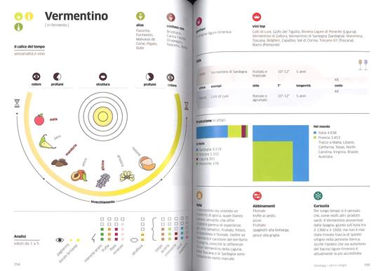 Vinology. Guida visuale al mondo del vino - Alessandro Torcoli,Antonella Giardina - 5