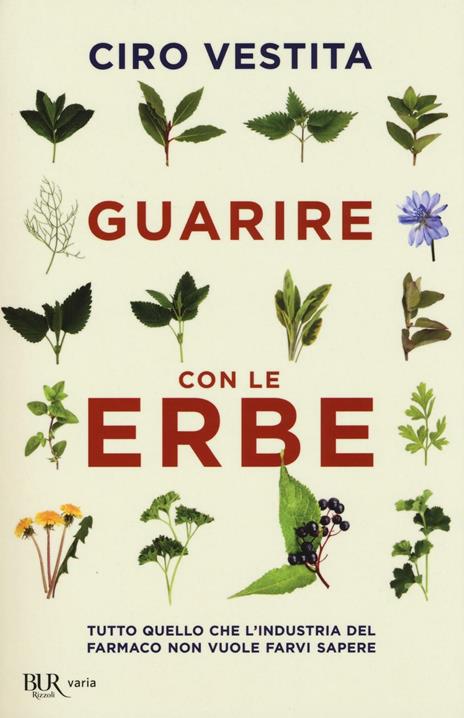 Guarire con le erbe. Tutto quello che l'industria del farmaco non vuole farvi sapere - Ciro Vestita,Federica Alaura,Irene Gelli - copertina