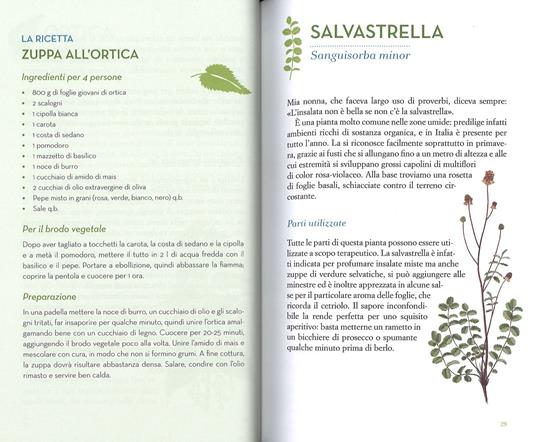 Guarire con le erbe. Tutto quello che l'industria del farmaco non vuole  farvi sapere - Ciro Vestita - Federica Alaura - - Libro - Rizzoli - BUR  Varia | IBS