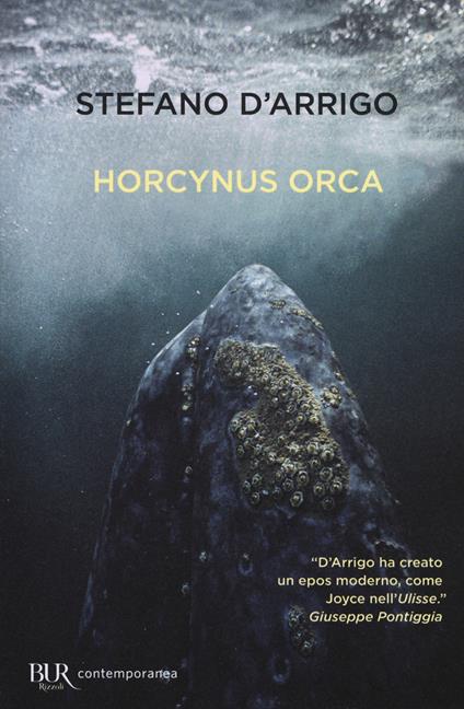 Horcynus Orca - Stefano D'Arrigo - copertina