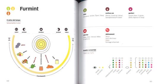 Vinology. Sommelier. Tutto quello che devi sapere per conoscere e gustare il vino - Alessandro Torcoli,Antonella Giardina - 4