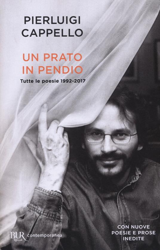 Un prato in pendio. Tutte le poesie 1992-2017 - Pierluigi Cappello - copertina