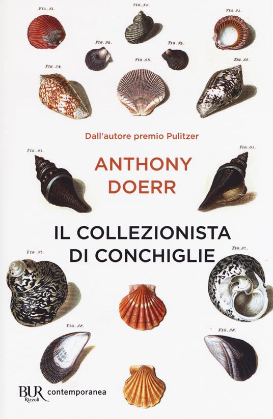 Tutta la luce che non vediamo - Anthony Doerr - Libro - Rizzoli