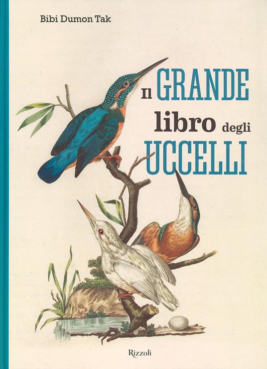 Il grande libro degli uccelli. Ediz. a colori - Bibi Dumon Tak - copertina