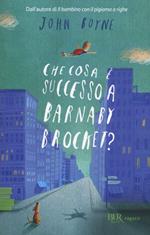 Che cosa è successo a Barnaby Brocket?