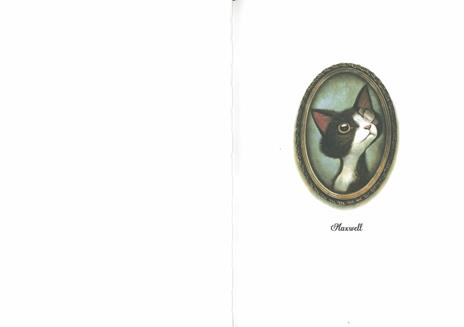 Vite di gatti straordinari - Sébastien Perez - Benjamin Lacombe - - Libro -  Rizzoli - | IBS