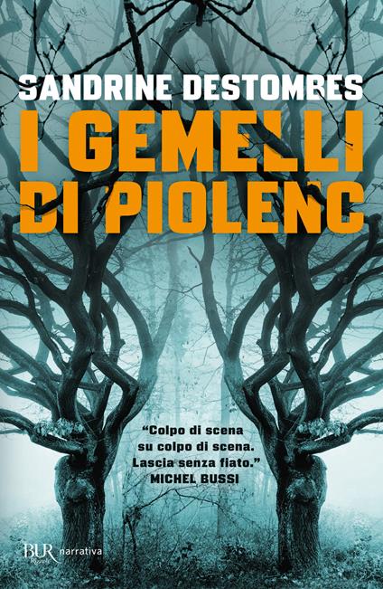 I gemelli di Piolenc - Sandrine Destombes - copertina