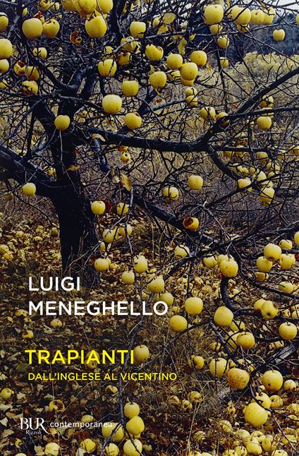 Trapianti. Dall'inglese al vicentino - Luigi Meneghello - copertina