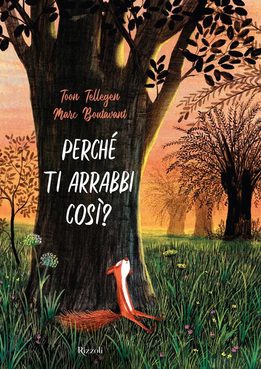 Perché ti arrabbi così? Ediz. a colori - Toon Tellegen,Marc Boutavant - copertina